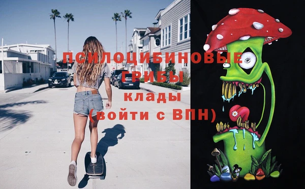 СК Козельск