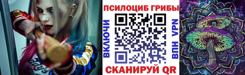 blacksprut ССЫЛКА  Красноармейск  это формула  Псилоцибиновые грибы Psilocybine cubensis 