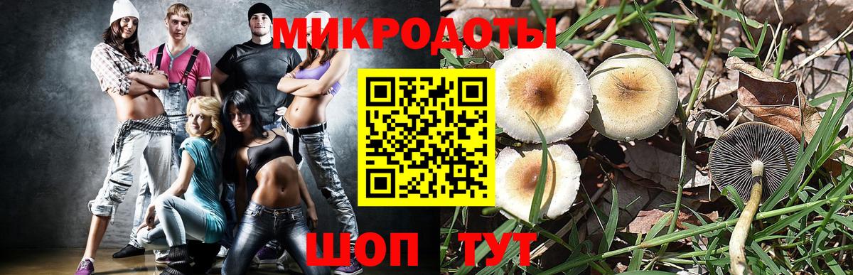 Красноармейск  Псилоцибиновые грибы Magic Shrooms  Галлюциногенные грибы ЛСД  Вход с VPN 